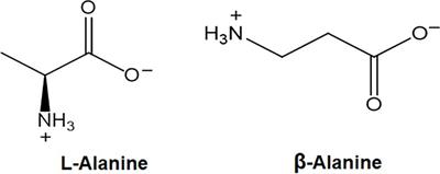 The Synthesis and Role of β-Alanine in Plants